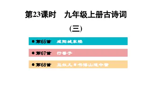 时九年级上册古诗词(三)讲练—广西百色市2021届中考语文复习ppt精品课件