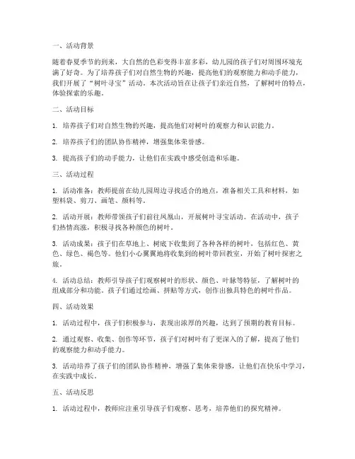 树叶寻宝总结报告范文