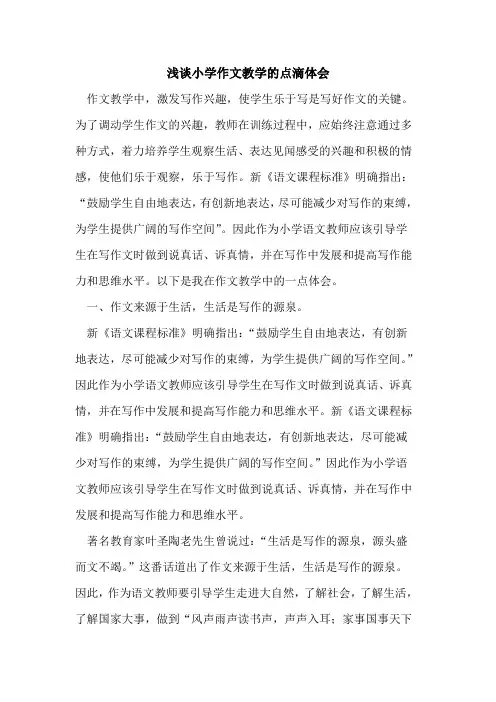 小学作文教学点滴体会