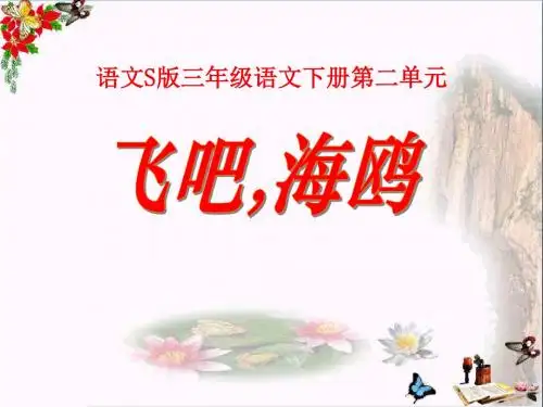 《飞吧,海鸥》PPT课件