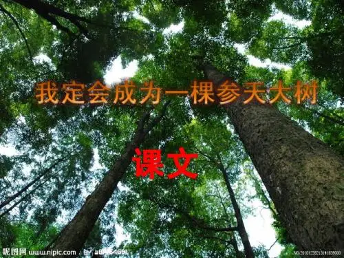 我定会成为一棵参天大树