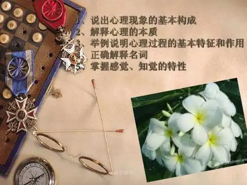 《医学心理学》-感知  PPT课件