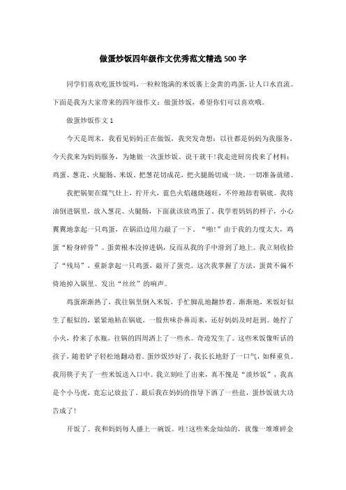 做蛋炒饭四年级作文优秀范文精选500字