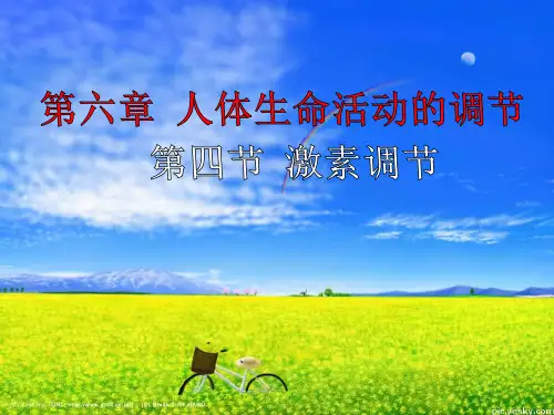 七年级下册(新)64 激素调节 课件(共15张PPT)