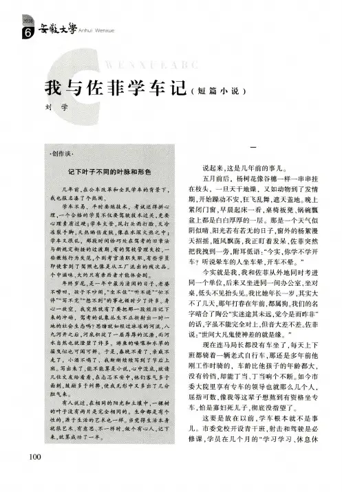 我与佐菲学车记(短篇小说)