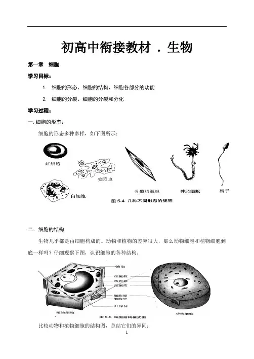 初高中生物衔接教材