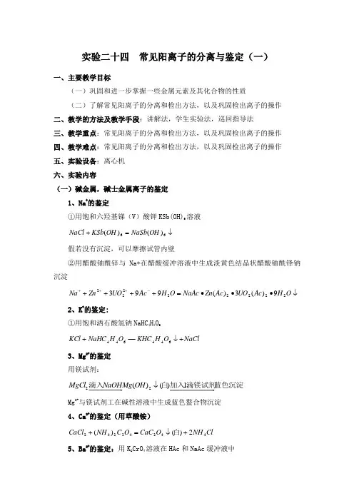 试验二十四常见阳离子的分离与鉴定