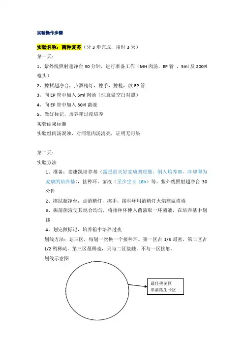 实验操作步骤