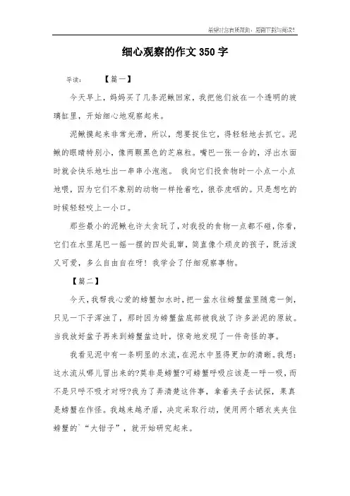 细心观察的作文350字