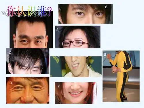 (部编)初中语文人教2011课标版七年级上册外貌描写