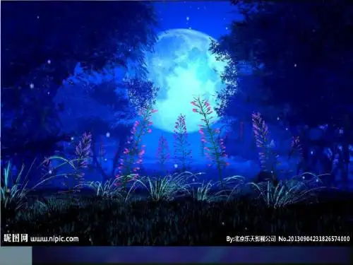 《月亮上的足迹》ppt课件