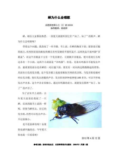 蝉为什么会唱歌