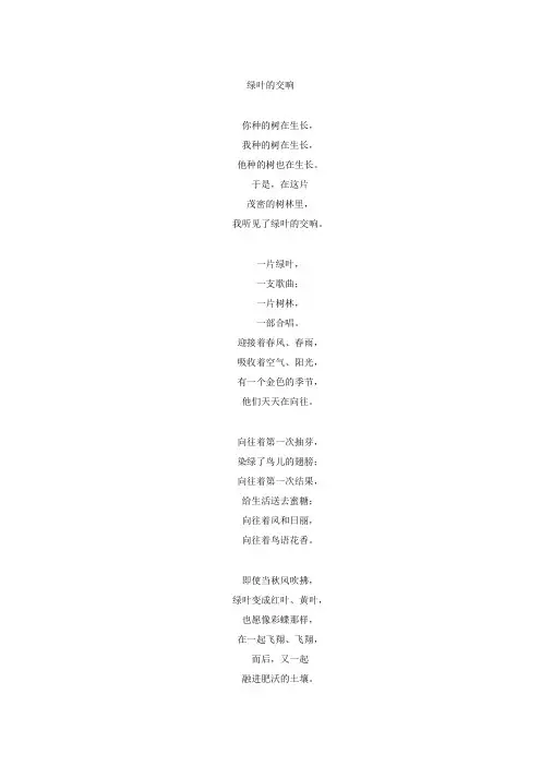 绿叶与花的梦