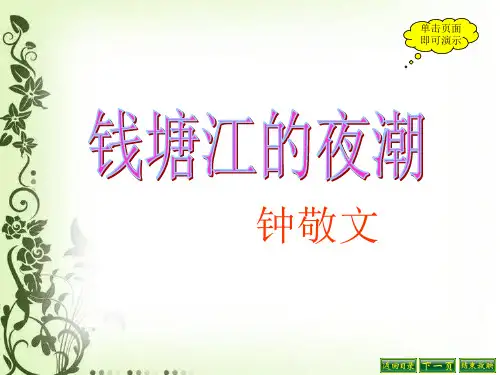 钱塘江的夜潮