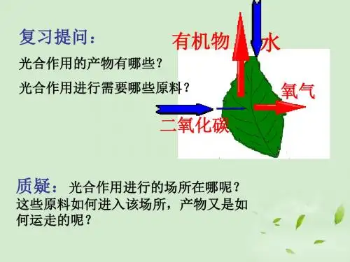 八年级生物 第四章第三节光合作用的场所课件 冀教版