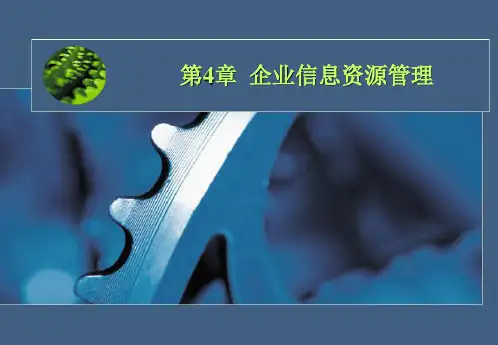 企业信息资源管理培训教材(PPT课件)