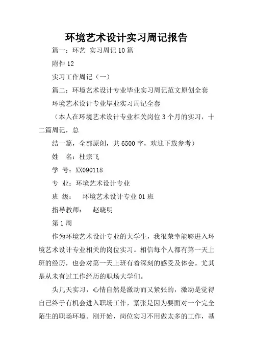 环境艺术设计实习周记报告