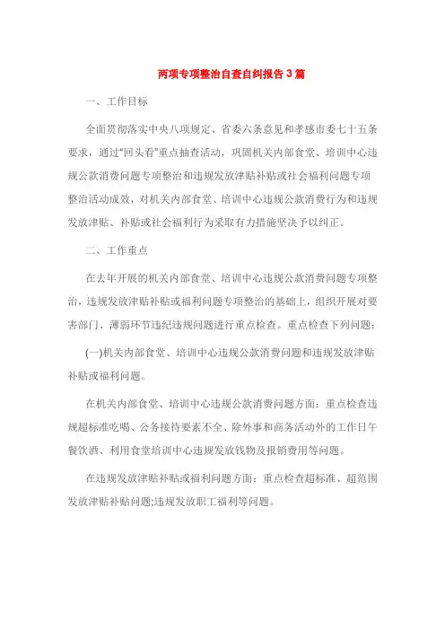 两项专项整治自查自纠报告3篇