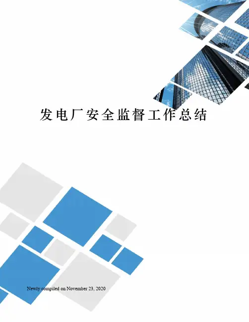 发电厂安全监督工作总结