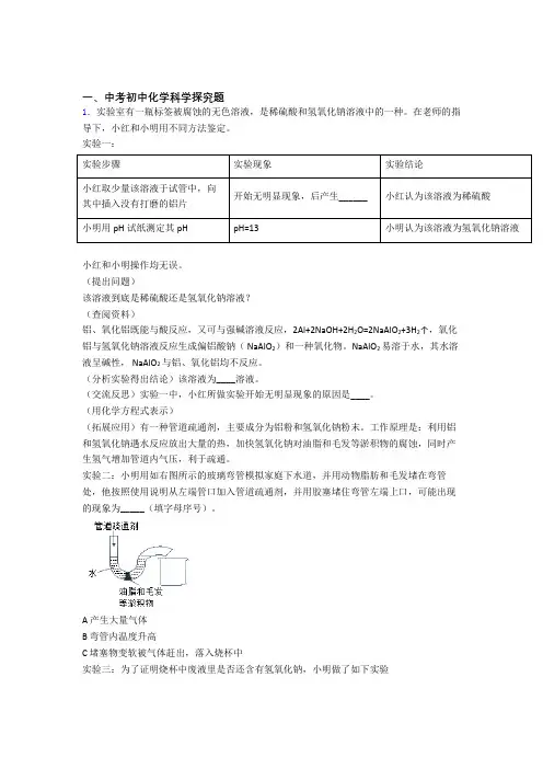2020-2021中考化学培优专题复习探究题练习题附详细答案