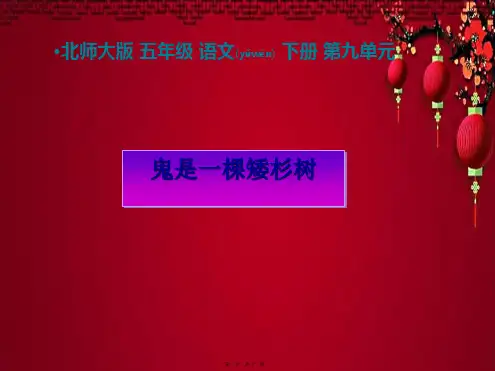 五年级语文下册 鬼是一棵矮杉树1课件