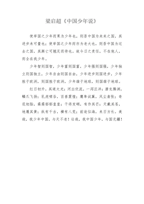 中国少年说