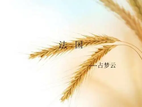 法国