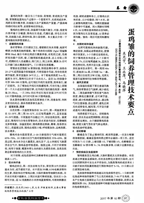 蛋鸡雏的饲养管理技术要点