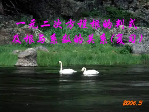 一元二次方程根与系数关系复习[下学期]--浙教版