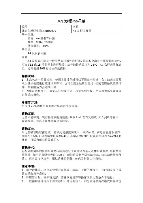 A4发根农杆菌使用说明