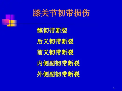 膝关节韧带损伤(膝关节稳-推荐课件