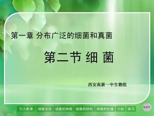 八年级生物上册 第二节 细菌