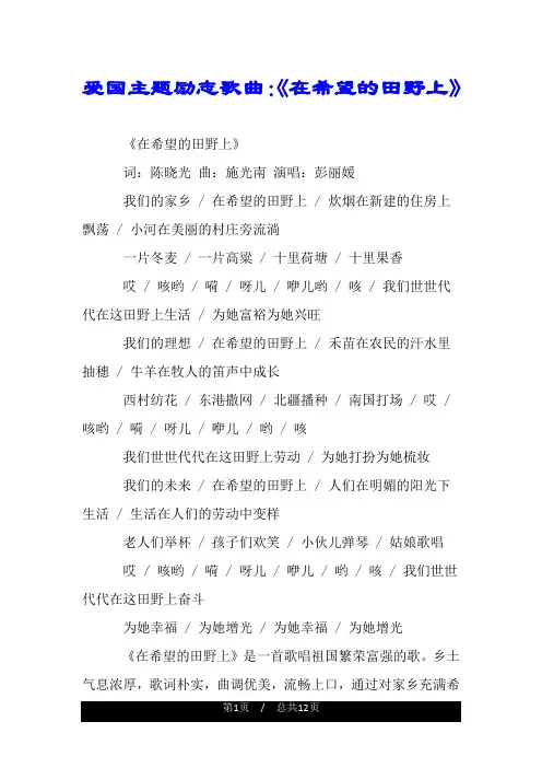 爱国主题励志歌曲：《在希望的田野上》.doc