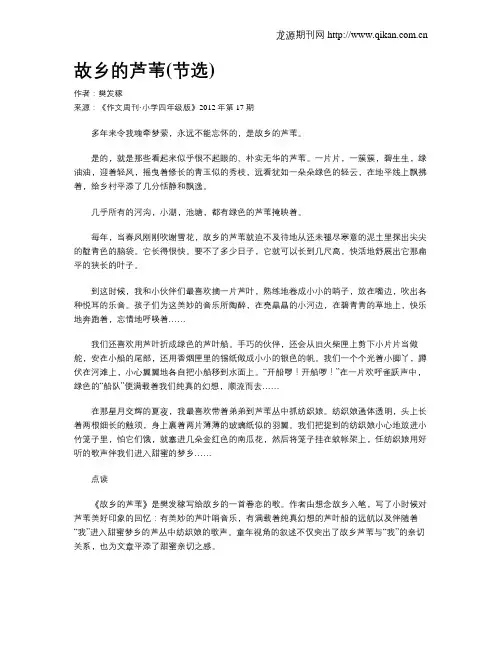 故乡的芦苇(节选)