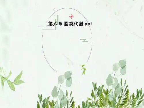 第六章 脂类代谢