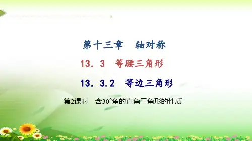 含30°角的直角三角形的性质练习题