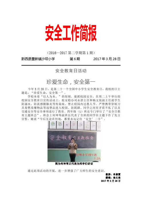 沙坝小学安全教育日活动简报