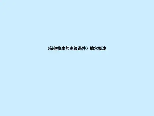 腧穴概述