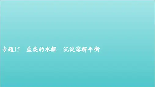 2021年高考化学一轮复习第一部分专题15盐类的水解沉淀溶解平衡课件