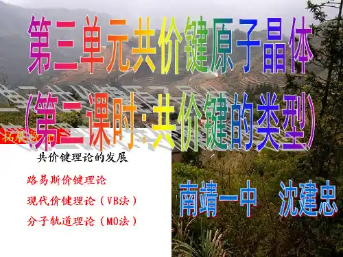共价键的类型2