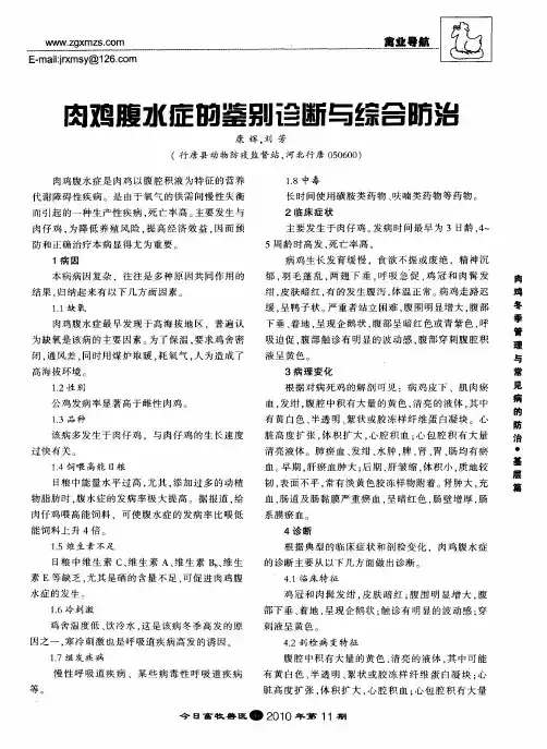 肉鸡腹水症的鉴别诊断与综合防治