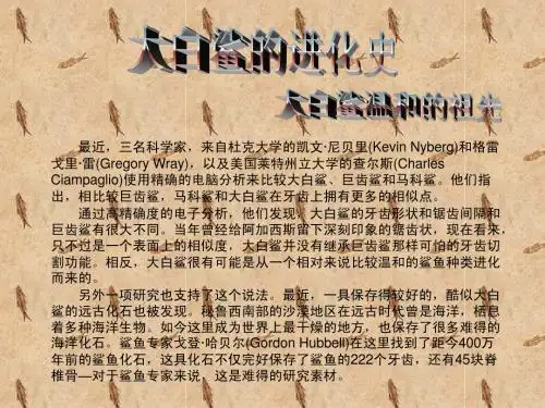 大白鲨
