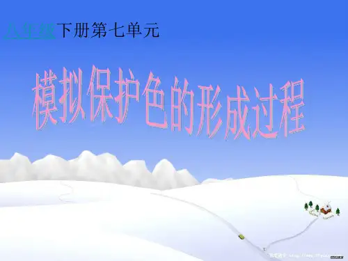 模拟保护色的形成