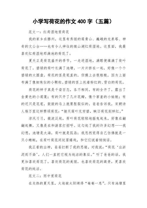 小学写荷花的作文400字(五篇)_作文