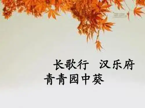 古诗积累  (1)