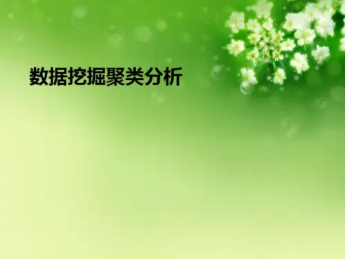 数据挖掘聚类分析优秀课件