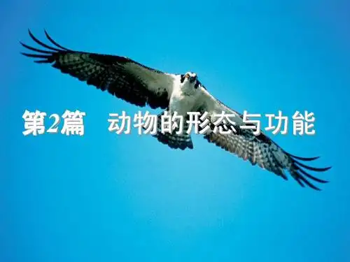 植物的 结构与功能