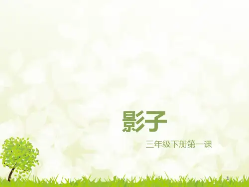 发现与探索三级下册一课《影子》PPT课件