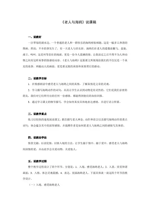老人与海鸥_说课稿