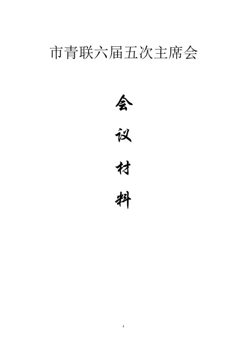 市青年联合会六届五次主席会议材料